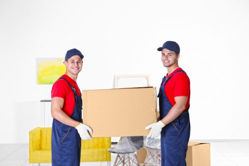 Professional packing materials and organised moving boxes for Borough customers