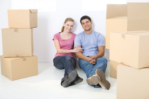 Checklist and packing materials for a Borough move