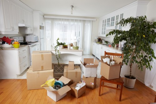 Professional movers carrying household items in a Borough flat move